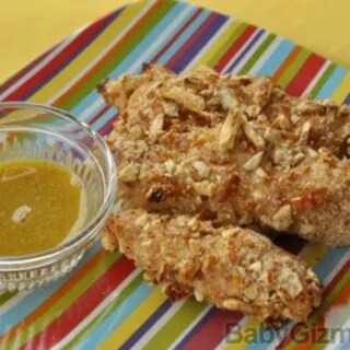 Bottom Of The Bag Recipe: Honey Mustard Pretzel Chicken Tenders (5) Bottom Of The Bag Recipe: Honey Mustard Pretzel Chicken Tenders (5)