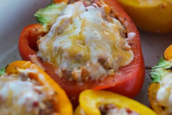 25 Cheap Keto Recipes for Low Budgets (16)