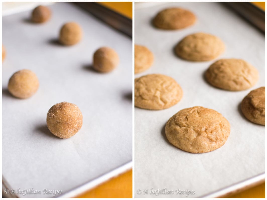 Apple Cider Snickerdoodles - A baJillian Recipes (5)