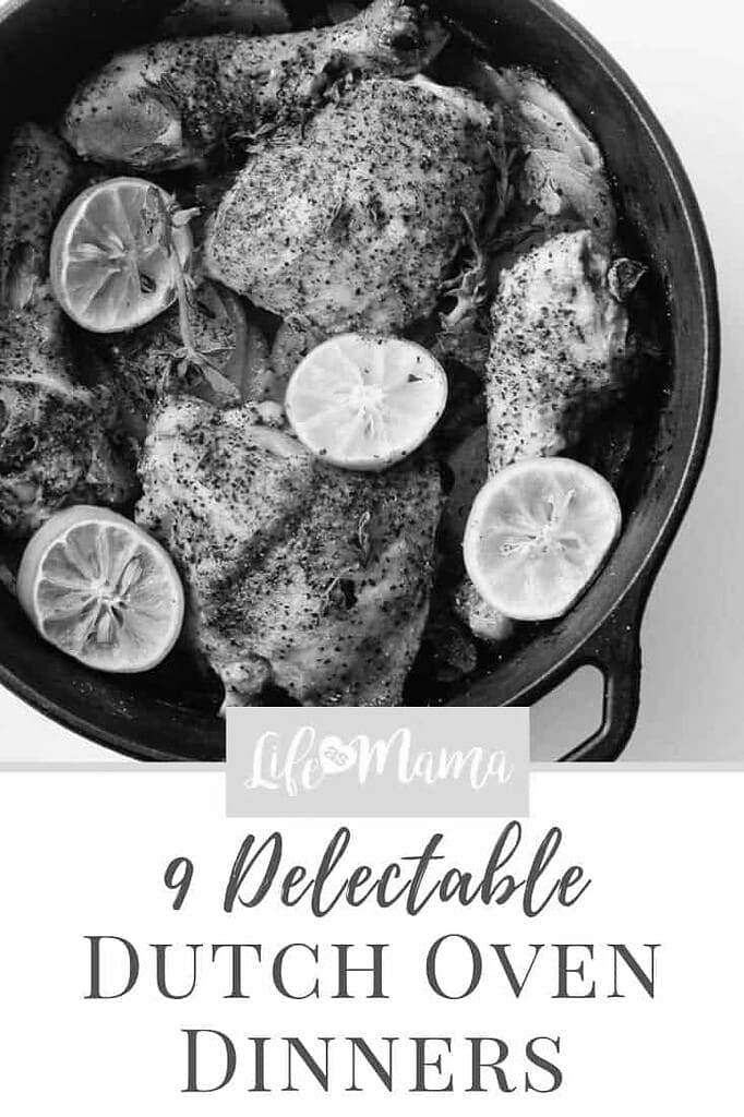 A Collection Of Delicious Dutch Oven Recipes For Dinner (13)