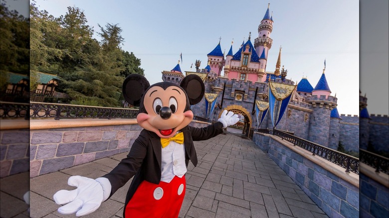 20 Best Restaurants At The Disneyland Resort, Ranked - Tasting Table (1)