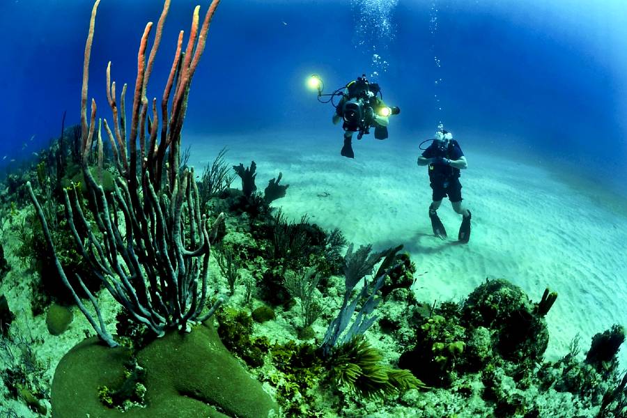 127 Most Adventurous And Crazy Bucket List Ideas For Adrenaline Junkies (4)