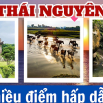 Top 18 địa điểm tham quan nổi tiếng nhất Thái Nguyên